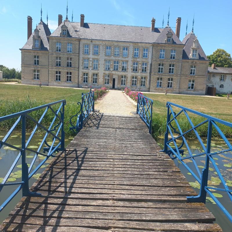 Château - 1 535 m² - 36 pièces