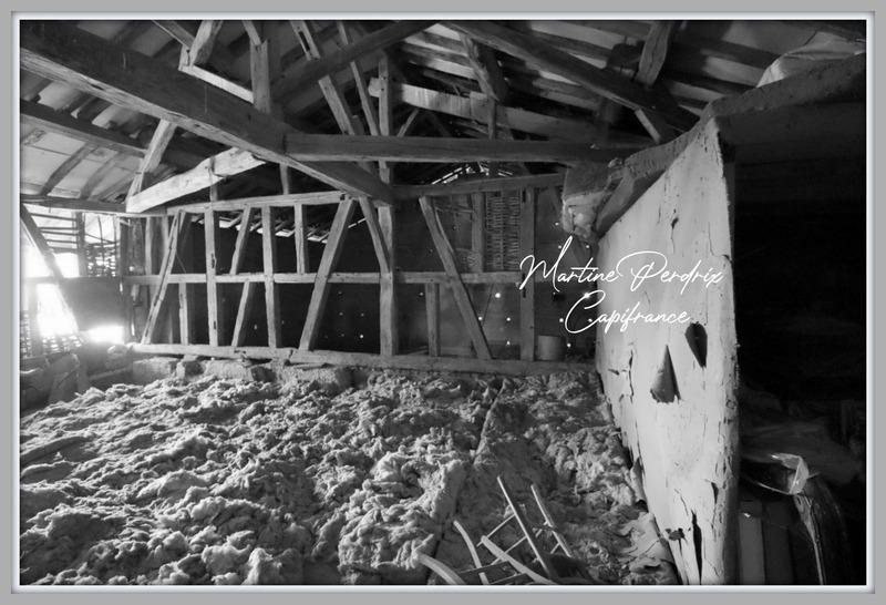 Maison de village - 210 m² - 7 pièces