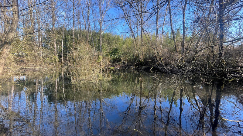 Terrain - 11 581 m²