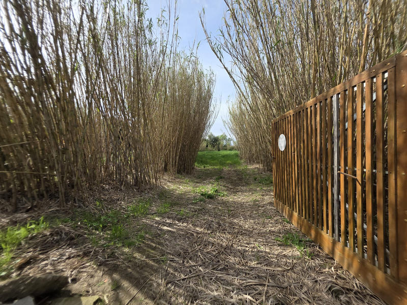 Terrain agricole - 5 006 m²