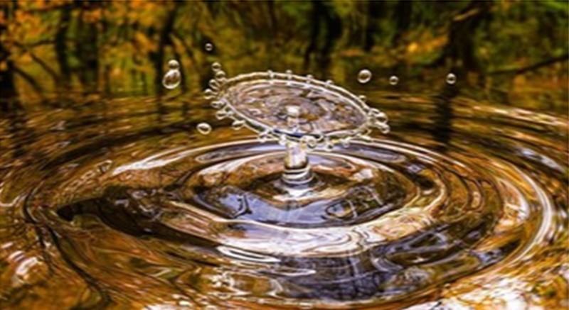 Exposition sur le thème de l'eau