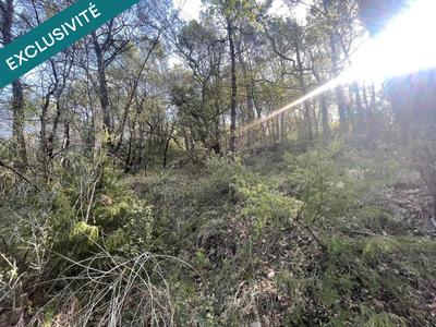 Terrain agricole - 14 290 m²