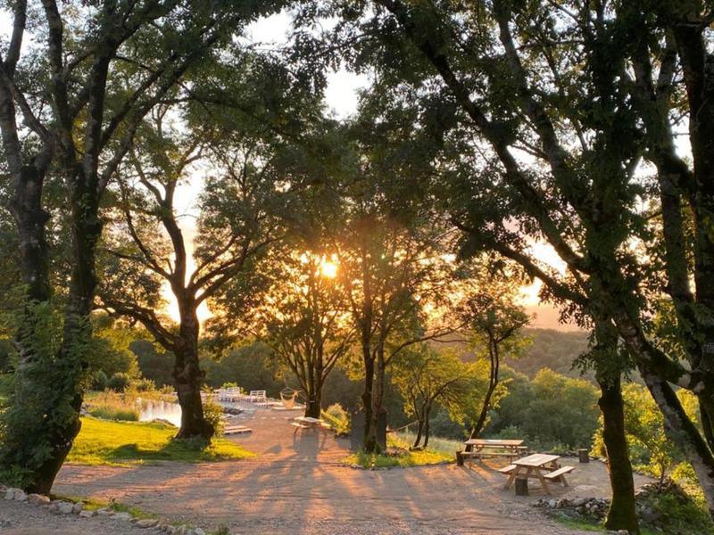 Maison - 298 m² - 10 pièces