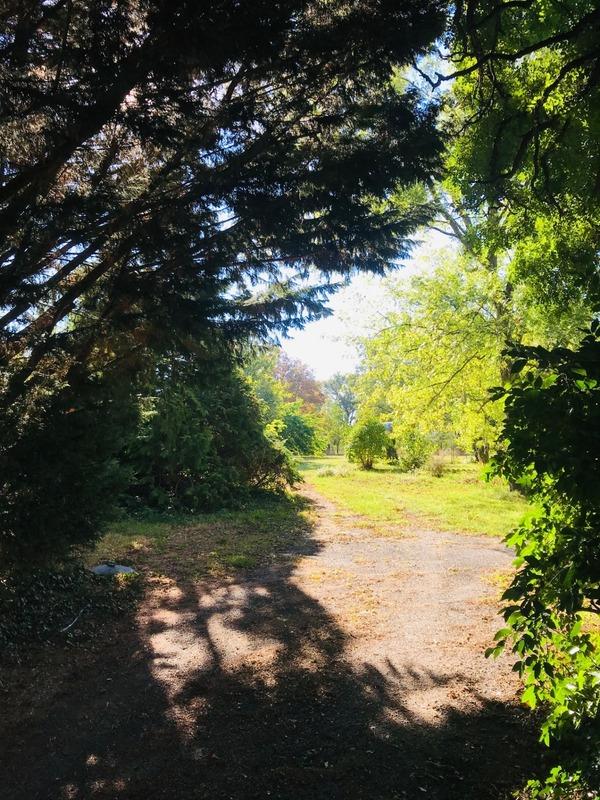 Terrain constructible - 9 346 m²