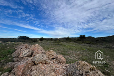 Terrain - 41 490 m²