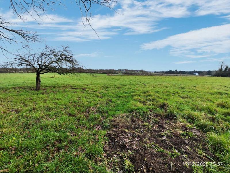 Maison - 182 m² - 6 pièces