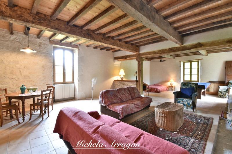 Maison en pierre - 252 m² - 5 pièces