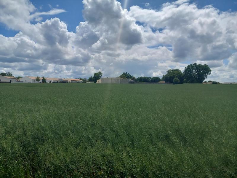 Terrain constructible - 320 m²