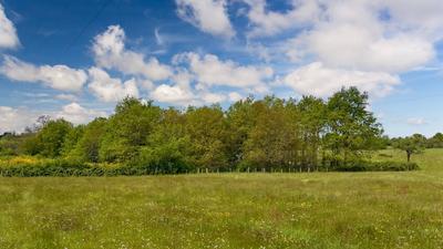 Terrain constructible - 1 446 m²