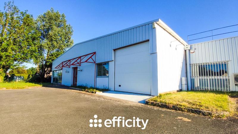 Bureau - 550 m² - 5 pièces