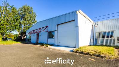 Bureau - 550 m² - 5 pièces