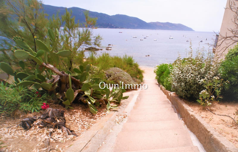 Appartement - 31 m² - 1 pièce