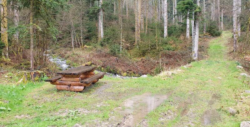 Club Vosgien : le sentier des ponts à Stosswihr