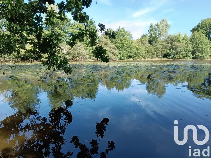 Terrain - 37 398 m²