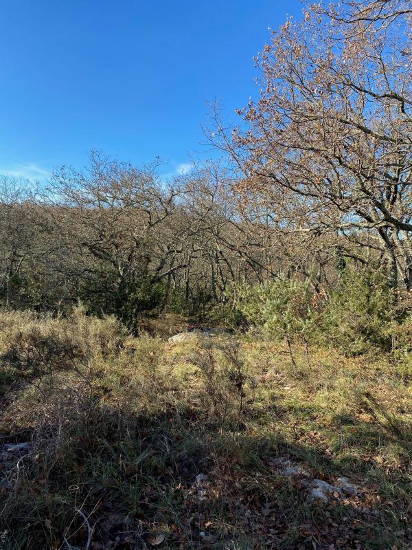 Terrain constructible - 488 m²