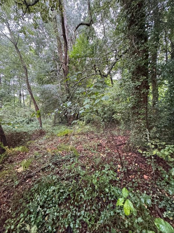 Terrain - 159 203 m²