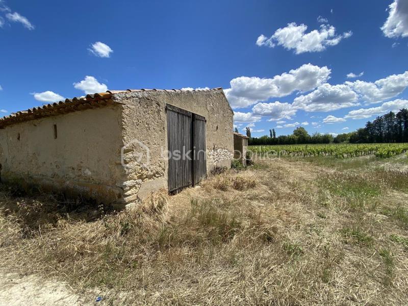 Terrain agricole - 30 000 m²