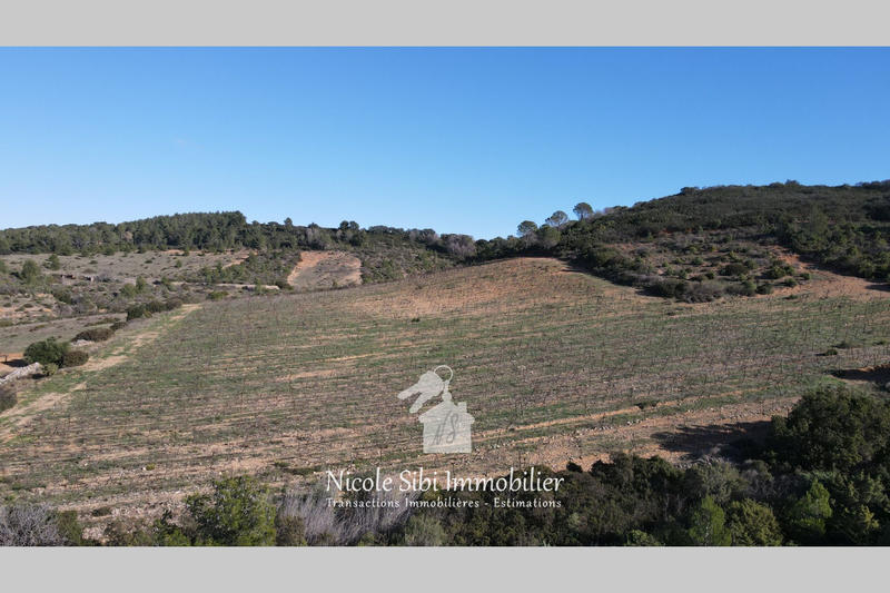 Terrain agricole - 32 050 m²