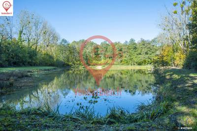 Terrain de loisirs - 9 062 m²