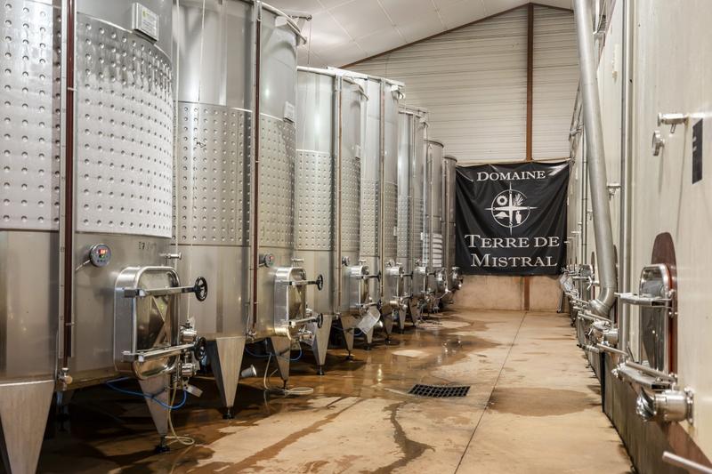 Commented visit and wine tasting of Terre de Mistral vineyards