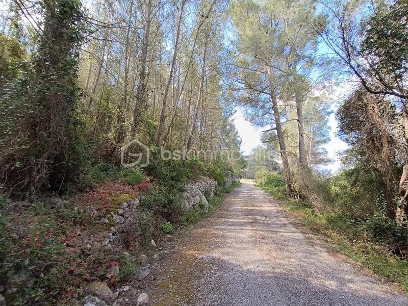 Terrain agricole - 5 230 m²