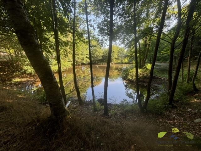 Propriété - 135 m² - 5 pièces