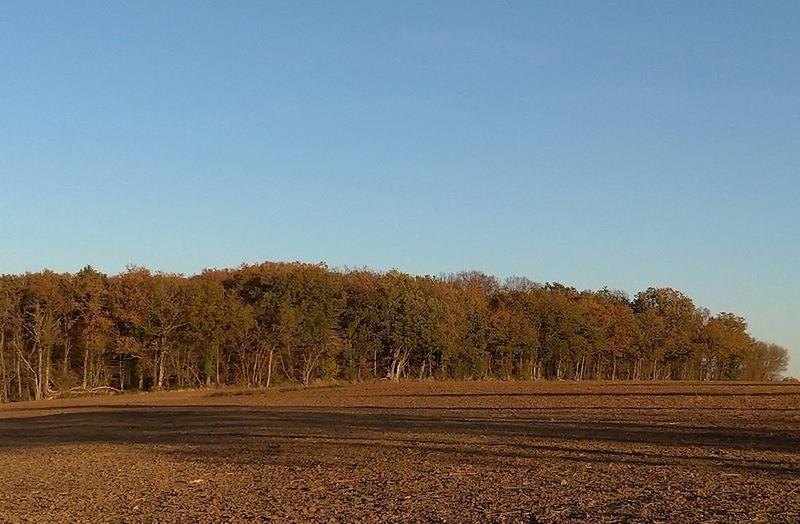 Terrain - 810 000 m²