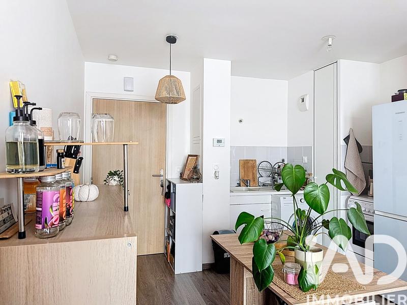 Appartement - 33 m² - 2 pièces