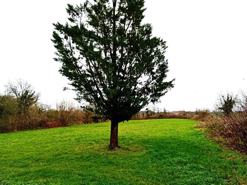 Corps de ferme - 280 m² - 2 pièces