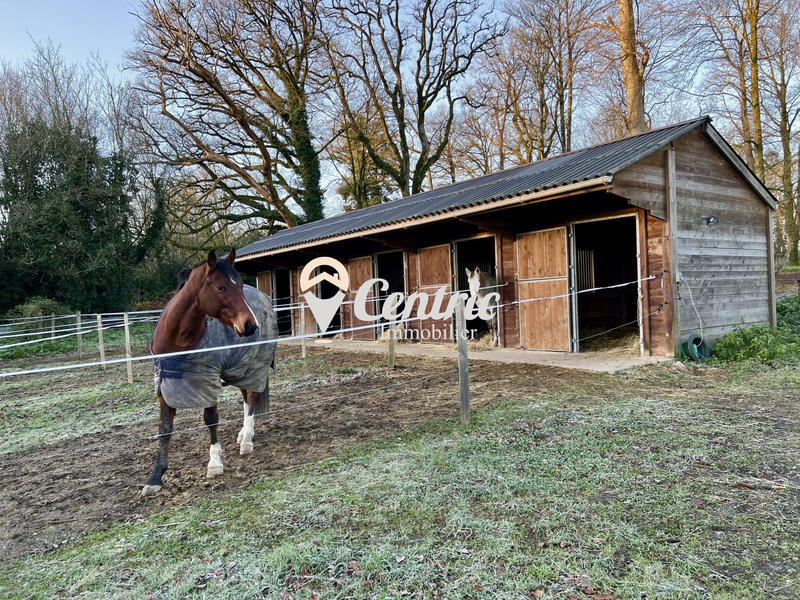 Château - 260 m² - 10 pièces