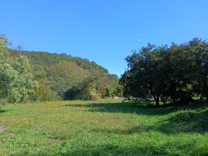 Maison - 230 m² - 11 pièces