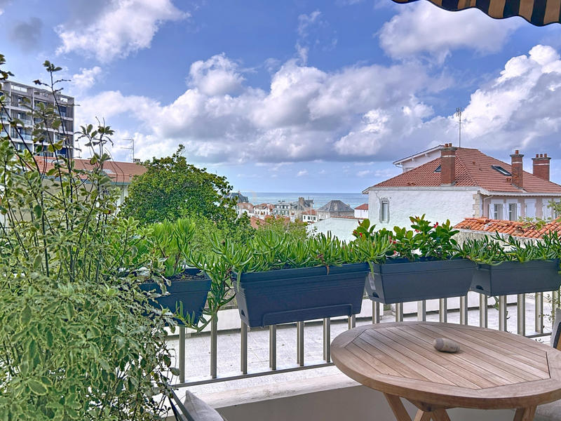 Appartement - 34 m² - 1 pièce