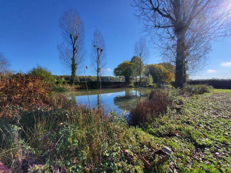 Maison - 160 m² - 5 pièces