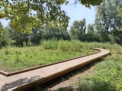 Sur les traces de Dame Nature