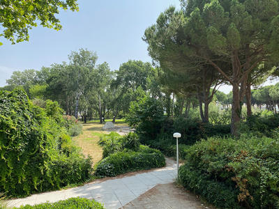 Appartement - 24 m² - 1 pièce