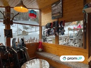 Châlet - 303 m² - 11 pièces