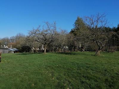 Terrain constructible - 1 800 m²