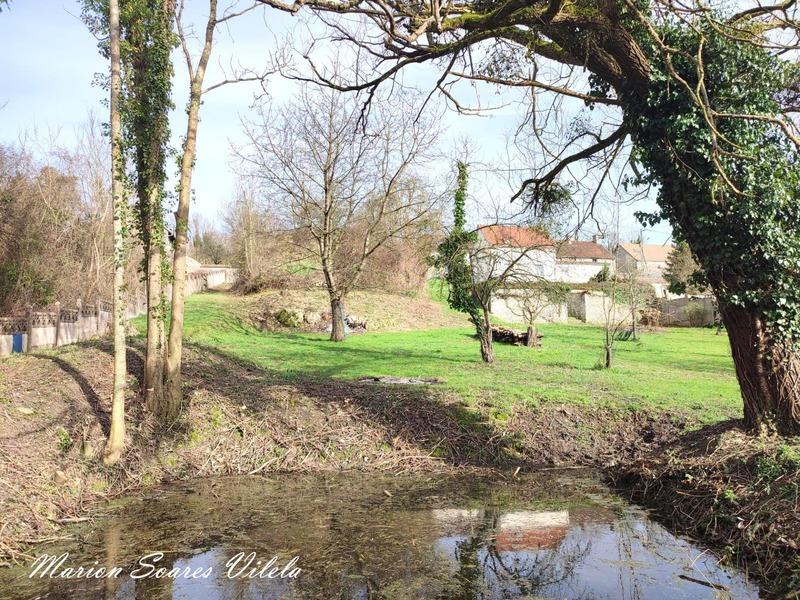 Terrain constructible - 2 976 m²