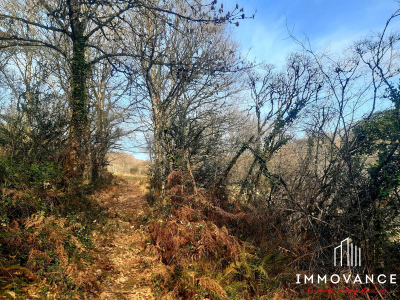 Maison - 60 m² - 3 pièces