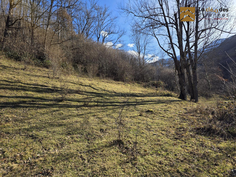 Maison ancienne - 105 m² - 3 pièces