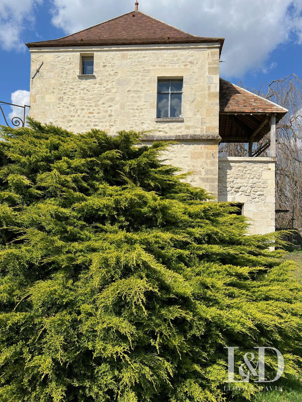 Château - 450 m² - 14 pièces