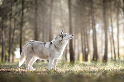 Saisir l'Instant Photographie