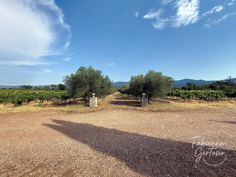 Mas - 419 m² - 9 pièces