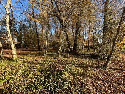 Terrain constructible - 4 176 m²