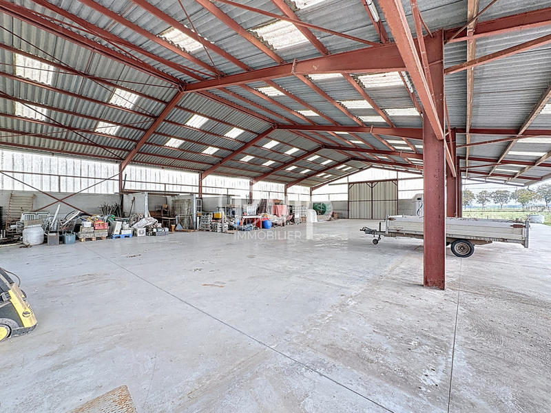 Immeuble - 4 726 m² - 5 pièces