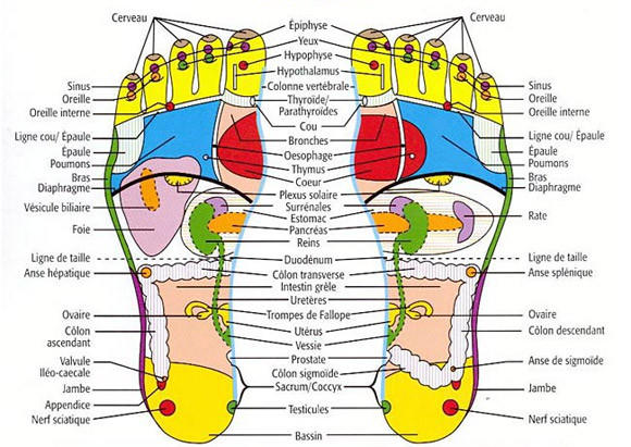 Institut Marion Lambert Esthéticienne