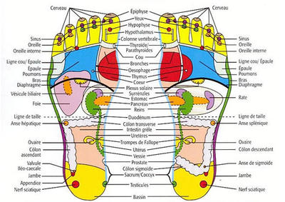 Institut Marion Lambert Esthéticienne