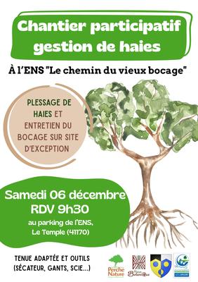 Chantier participatif de gestion des haies au Temple