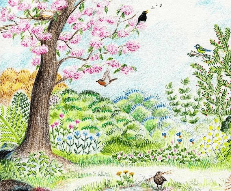 Reconnaissance des chants d’oiseaux à Lestiou