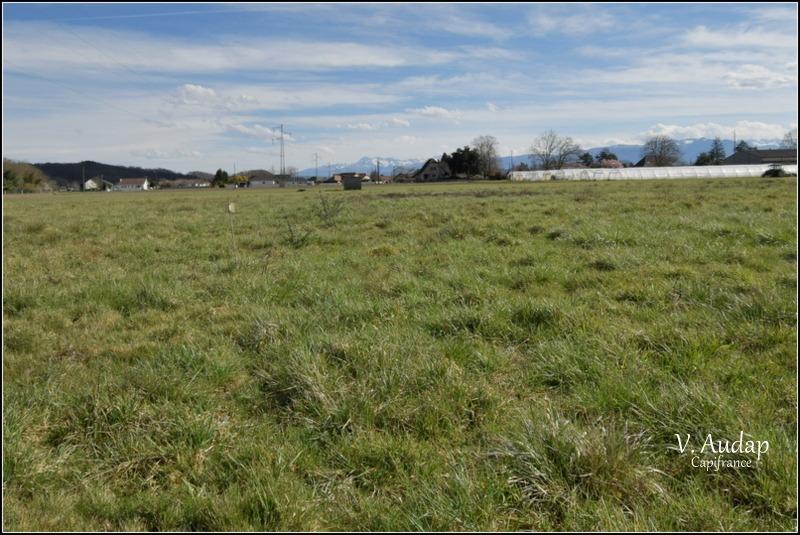 Terrain constructible - 1 231 m²